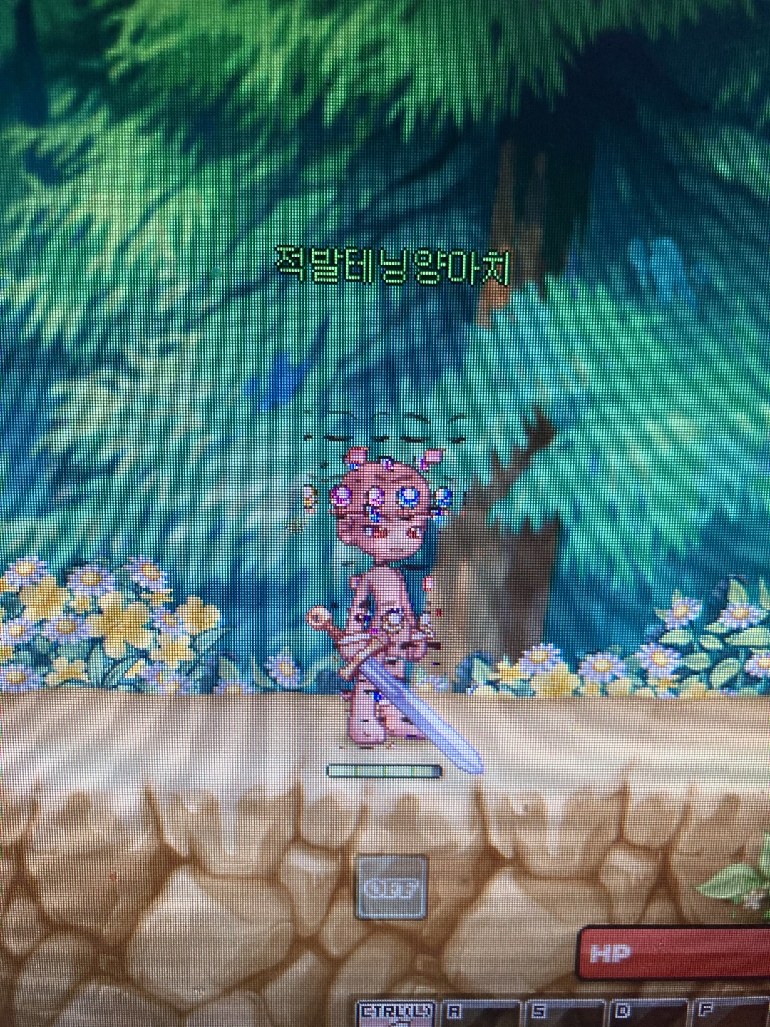 aaaaaaaaaaaaaa.jpg
