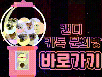 홍보물2.gif
