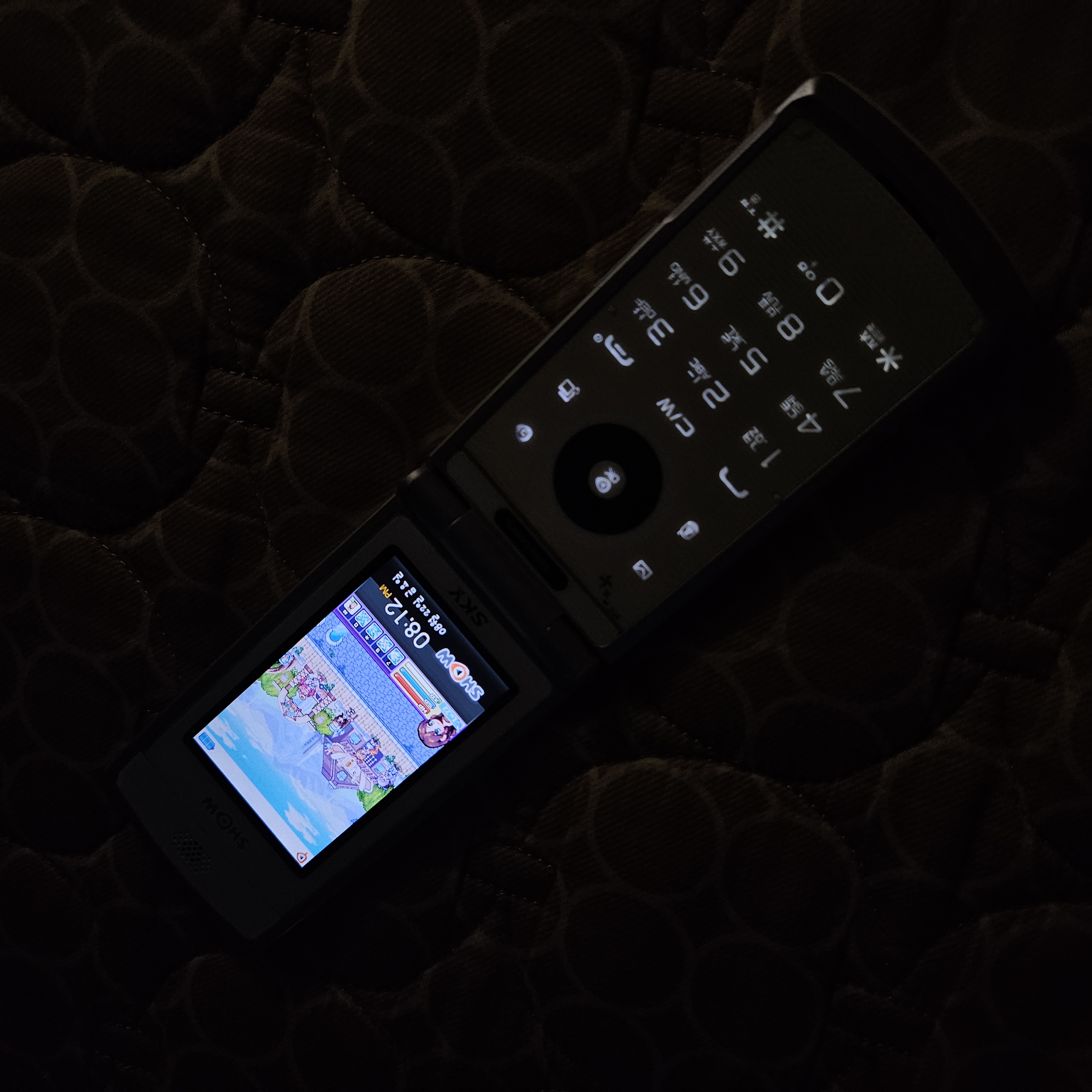 20250822_201212.jpg