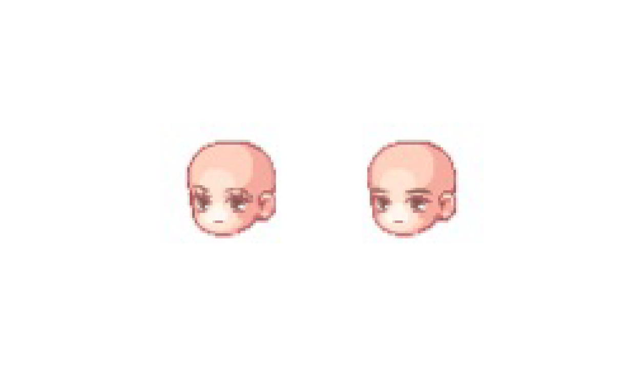 얼굴형태.png
