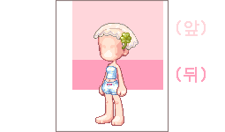모자, 머리장식 영역 가이드(여).png